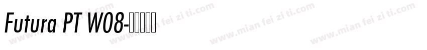 Futura PT W08字体转换